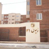 زیتون-41