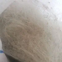 تور ماهی گیری دست نخورده