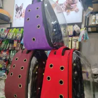کوله حمل پرنده. گربه. خرگوش