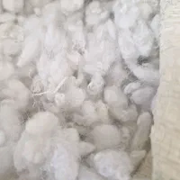 لایکو پشم شیشه کیلو ۱۵۰هزارت