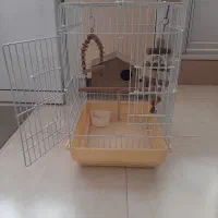 فروش قفس پرنده