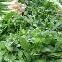 سبزی خورشتی