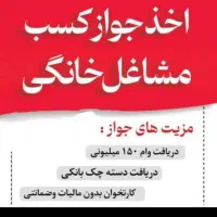 پروانه کسب خانگی مخصوص دسته چک و ضامن شدن