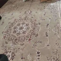 فروش دوعددفرش ۱۲متری همرنگ