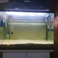 آکواریوم و فن خنک کننده