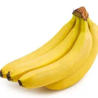 استخدام نیرو شب