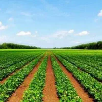 زمین کشاورزی به همراه آب چاه عمیق