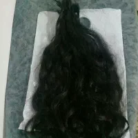 ۳۳شاخه مو۴۰سانتی قیمت توافقی