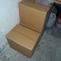 کره نیوزلندی ممتاز