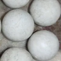 تست های خونی مثبت بوده.زیرقیمت.توافقی.