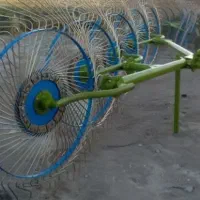 ریک طالبی صفر کار نکرده