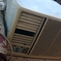گولر اوجرلال در جده صفر