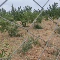 باغچه 490متری فنس کشی پل زمانخان