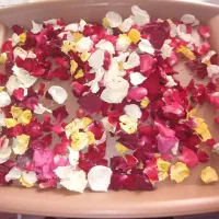 گل رز خشک شده همه رنگ