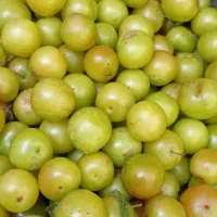 آلوچه ملس خوردنی و لواشک اورگانیک
