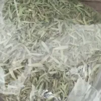 اویشن کوهی