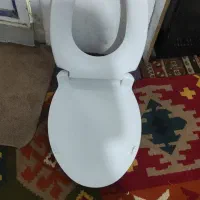 درب توالت فرنگی