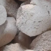 کشک بز