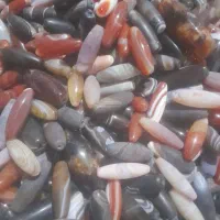 مهره|کلکسیون اشیاء عتیقه|زابل, |دیوار