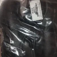 ایمنی پوتین