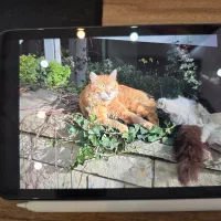 ایپد مینی نسل6 Ipad mini 6