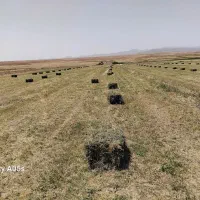 یونجه چین سوم