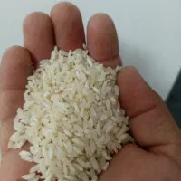برنج درجه یک یک کامفیروزی