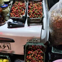 توت فرنگی محلی جهت مربا