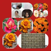 شروع کلاس های تابستانه از پیش دبستانی تا هفتم