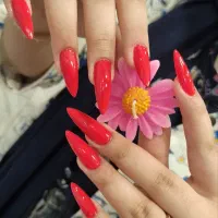 مدل کاشت و ترمیم