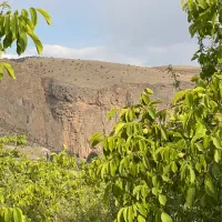 باغ گردو تنگبراق