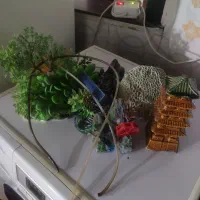 آکواریوم