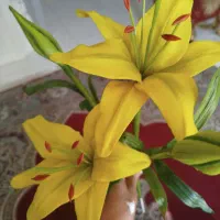 گل های خمیری دستساز