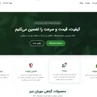 طراحی سایت وردپرسی