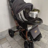 کالسکه دلیجان بنیتا با گارانتی