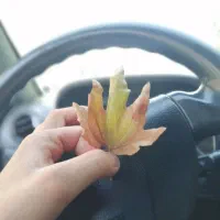 مسافر از بیجار برای کرج و تهران