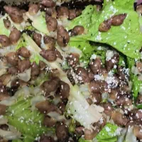 حلزون آپاچی