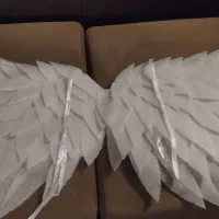 بال فرشته