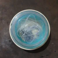 پایه شکوفه زنی برند اصلی جانومه