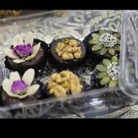 خرما مجلسی وترافل خرمایی