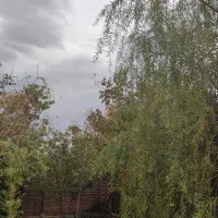 سرایدار