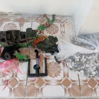 ماهی و وسایل آکواریوم