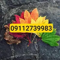 09112739983 سیمکارت همراه اول حداقل ۱۲ سال خاموش