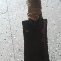 ساتور