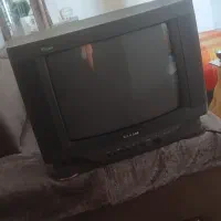 تلویزیون