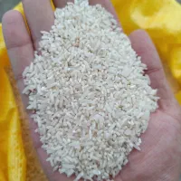 برنج لاشه هاشمی