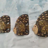 سه عدد ماهی تزیینی سایزبندی جنس چوب زیر قیمت