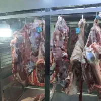 گوشت|خوردنی و آشامیدنی|همدان, |دیوار