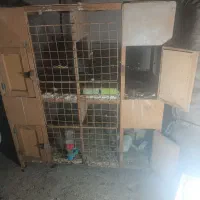 قفس چوبی