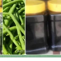 سفارش خیار شور بطری و لوبیا سبز